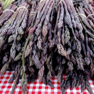 Asparagus 'Purple Passion'