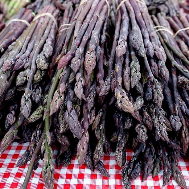 Asparagus 'Purple Passion'
